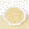 FGB Inside Colours Transparent Glass Seed Beads SEED-T009-01H-1