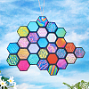 Polymethyl Methacrylate Honeycomb Pendant HJEW-WH0048-03S-4