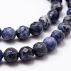 Natural Sodalite Beads Strands X-G-D840-19-8mm-3