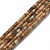 Natural Picture Jasper Beads Strands G-I326-09-1