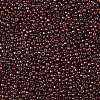 TOHO 11/0 Round Beads X-SEED-TR11-0331-2