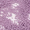 MGB Matsuno Glass Beads X-SEED-R017A-772-2
