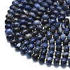 Natural Sodalite Beads Strands G-P573-B17-01-3