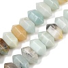 Natural Flower Amazonite Double Terminated Point Beads Strands G-T142-93-2