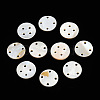 Natural Freshwater Shell Buttons SHEL-N032-216-2