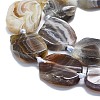 Natural Botswana Agate Beads Strands G-K245-J10-C01-3