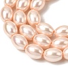 Electroplated Shell Pearl Beads Strands BSHE-B008-07B-3