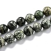 Natural Green Zebra Jasper Beads Strands G-O199-05B-1