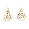 Brass Micro Pave Cubic Zirconia Pendants X-ZIRC-G165-06G-2