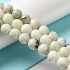 Natural Dendritic Jasper Beads Strands G-H298-A15-02-2