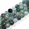 Natural Fluorite Beads Strands G-S345-10mm-31-1