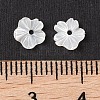 Natural White Shell Beads SSHEL-C012-23A-3