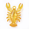 Transparent Acrylic Pendants TACR-S149-02-3