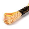 10 Skeins 6-Ply Polyester Embroidery Floss OCOR-K006-A45-2