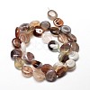 Natural Botswana Agate Nuggets Beads Strands G-J336-21-2