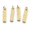 316 Surgical Stainless Steel Pendants STAS-N097-050-1