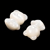 Natural White Shell Beads SSHEL-I026-10-2