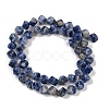 Natural Blue Spot Jasper Beads Strands G-A257-A15-01-3