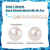 1 Strand Natural Nucleated Pearl Keshi Pearl Beads Strands PEAR-SC0001-40-2