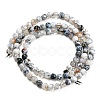 Dyed Natural Fire Crackle Agate Beads Strands G-G007-01F-3