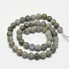 Natural Labradorite Frosted Bead Strands G-O155-04B-4mm-2