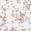 8/0 Glass Seed Beads X-SEED-J012-F8-528-3