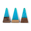 Resin & Wood Pendants WOOD-F015-03D-1