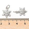 Brass Micro Pave Cubic Zirconia Pendants with Jumping Ring LS-KK-A254-24P-3