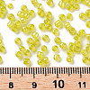 8/0 Round Glass Seed Beads SEED-US0003-3mm-170-3