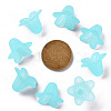 Transparent Acrylic Beads PLF018-13-3