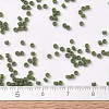 MIYUKI Delica Beads X-SEED-J020-DB1585-4