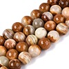 Natural Wood Lace Stone Wooden Jasper Beads Strands G-B128-A04-05-2