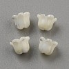 Natural Sea Shell Carved Beads SHEL-WH0001-021A-1