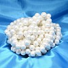 Oval Shell Pearl Bead Strands BSHE-L013-S-A013A-2