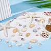 5 Styles Shell Beads SHEL-FH0001-22-4