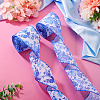 2 Rolls Polyester Ribbon OCOR-TA0003-67-5