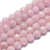 Natural Madagascar Rose Quartz Beads Strands G-G792-29B-1