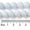 Natural Celestite/Celestine Beads Strands G-M414-A01-04-4