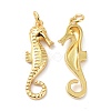 Eco-Friendly Brass Pendants KK-C221-04G-3