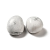 Natural Howlite Beads G-G979-A04-2