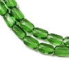 Transparent Glass Beads Strands GLAA-Z018-C17-3