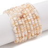 Natural Freshwater Shell Beads Strands SHEL-P017-01A-10-1