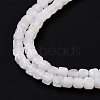 Natural Rainbow Moonstone Beads Strands G-K315-B08-3