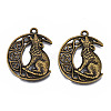 Tibetan Style Alloy Pendants X-TIBEP-N008-103-1