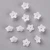 Transparent Acrylic Beads PL554-3