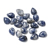 Natural Blue Spot Jasper Cabochons G-Q173-02B-14-1
