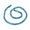 Natural Apatite Beads Strands G-O180-12-6mm-2