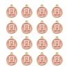 Golden Plated Alloy Enamel Charms ENAM-S118-07H-2