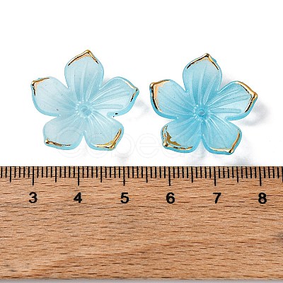 Transparent Acrylic Bead Caps TACR-P011-03C-1
