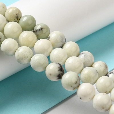 Natural Dendritic Jasper Beads Strands G-H298-A15-02-1
